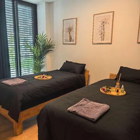 Am Hirschgarten - Zentral Gelegen Apartment